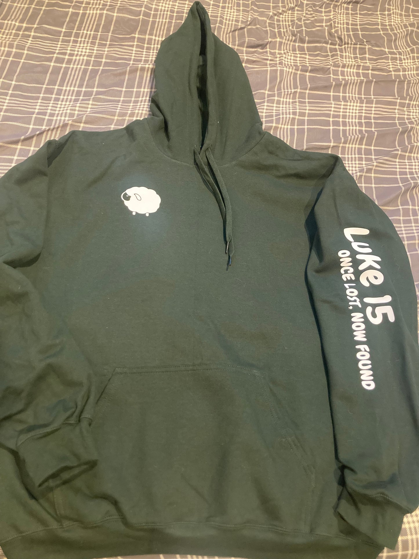 Luke 15 - Hoodie